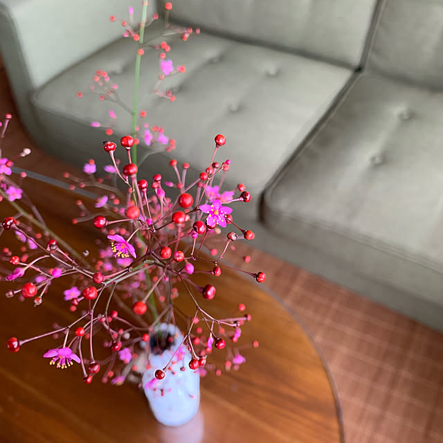 calceolaria.3110さんの実例写真
