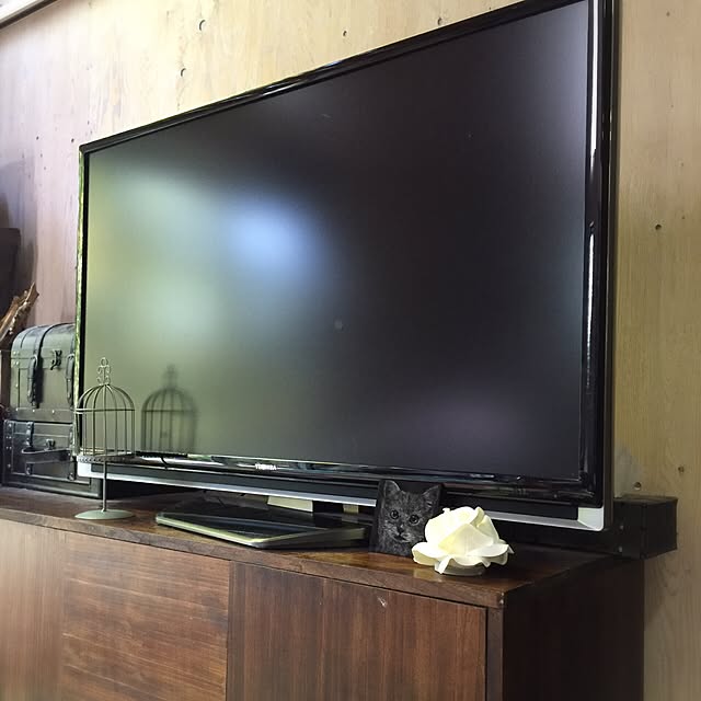 kurinekokenta5さんの実例写真