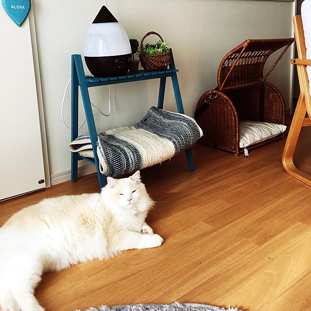 Rikaさんの実例写真