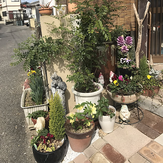 yoshie1197さんの実例写真