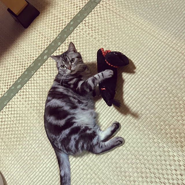 richanさんの実例写真