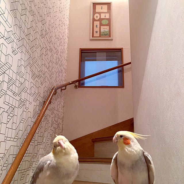 puriyuzuさんの実例写真