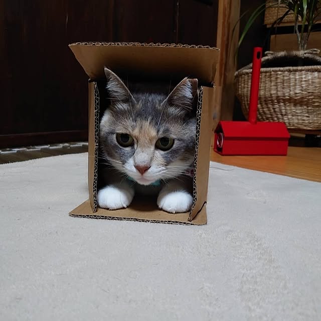 fukuさんの部屋
