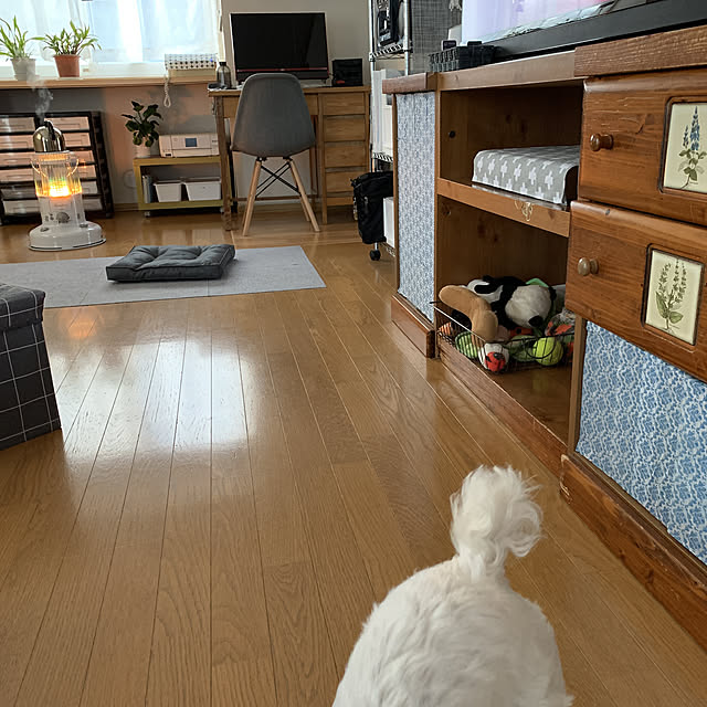 Mahoさんの実例写真