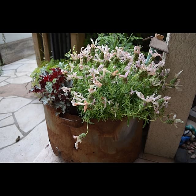 GreenWorksさんの実例写真