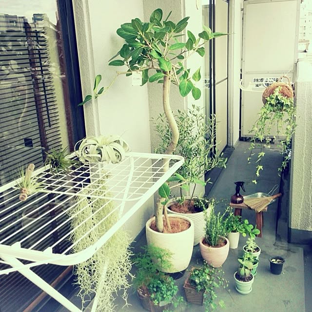 asakoさんの実例写真