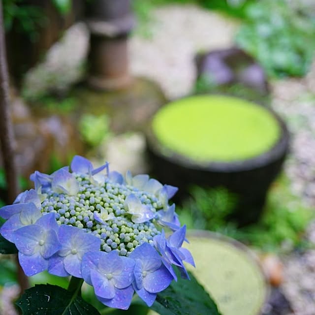aromameさんの実例写真