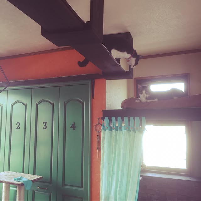 Minetteさんの実例写真