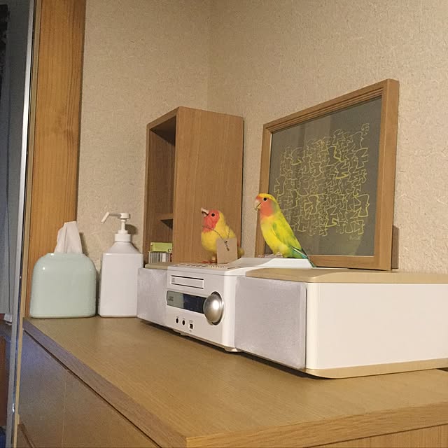 srpさんの実例写真