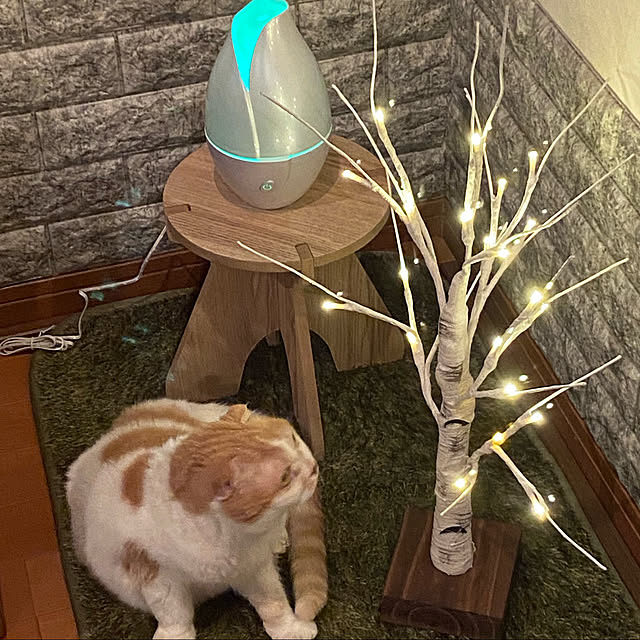 kaorinさんの実例写真