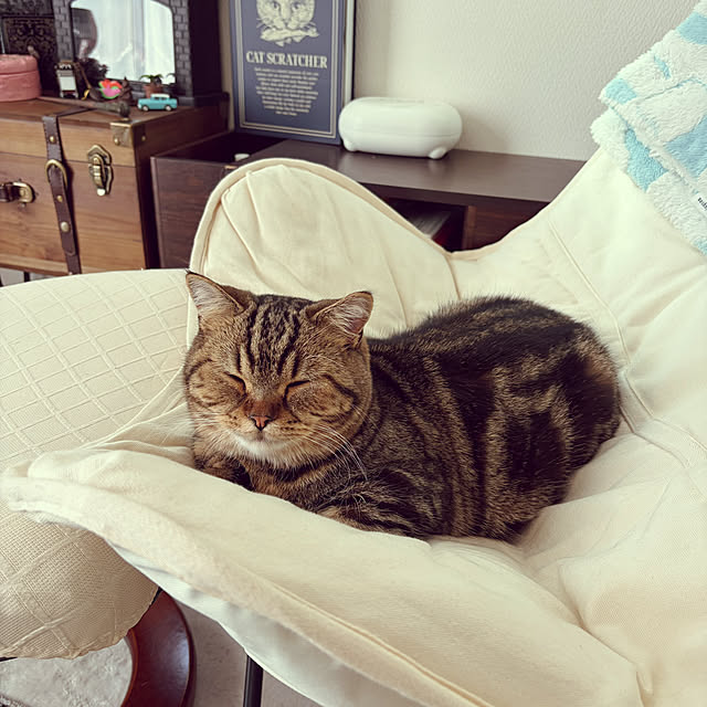 chiiさんの実例写真