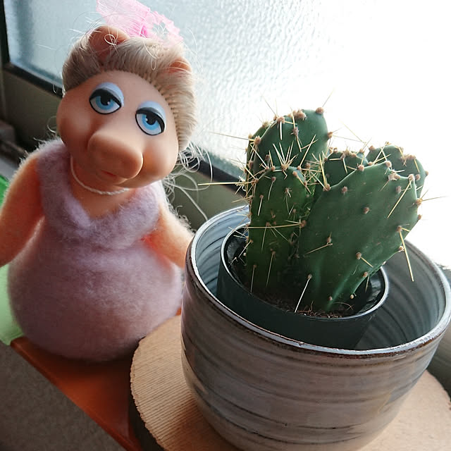 denkoさんの実例写真