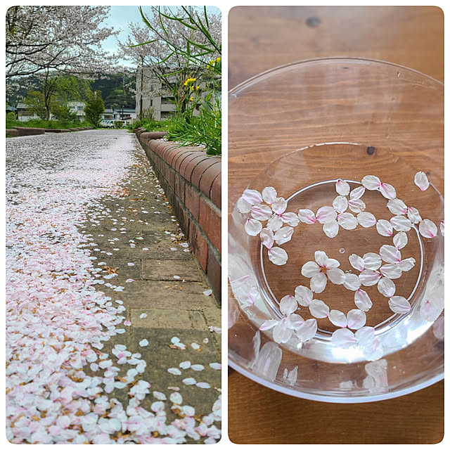 mayumiさんの実例写真