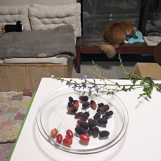 mori_6_12さんの実例写真