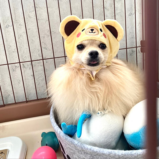 Yoshiさんの実例写真