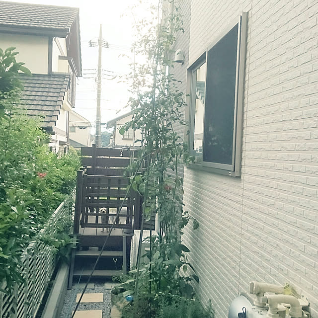 321さんの実例写真