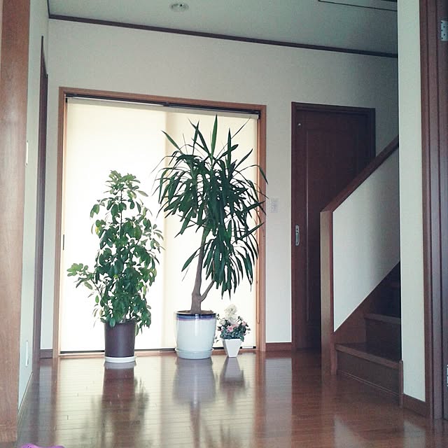 pokopoさんの実例写真