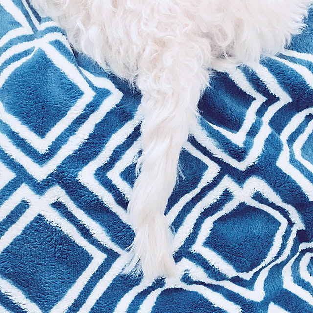 Mopmamaさんの実例写真