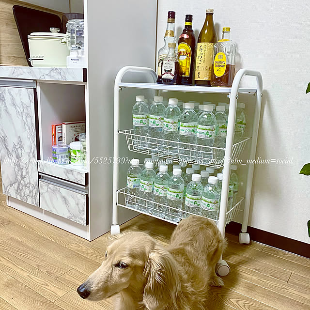 locaさんの実例写真
