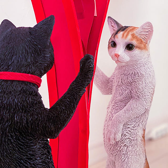 farekananiさんの実例写真