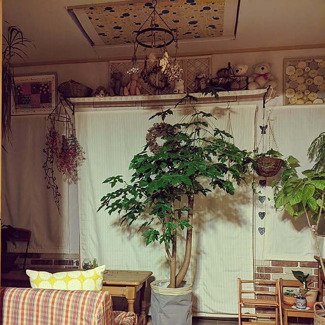 kouheiyuto24623takaさんの実例写真