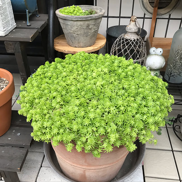 rinrinさんの実例写真