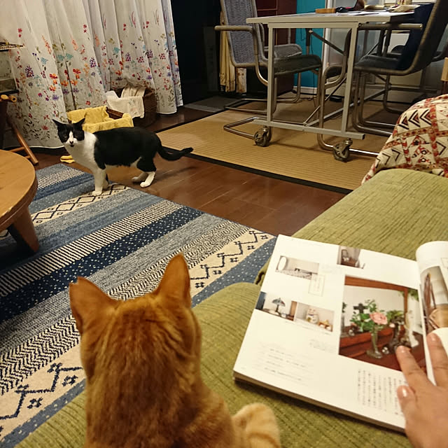 okyosan101さんの実例写真