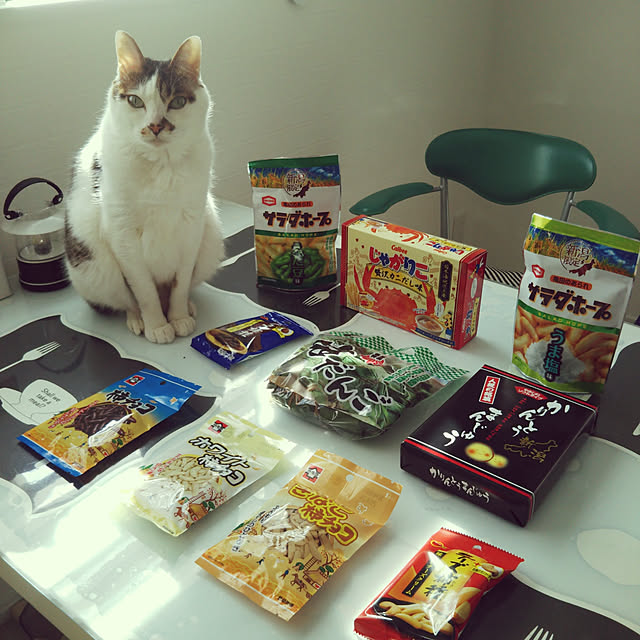 Sakasanさんの実例写真