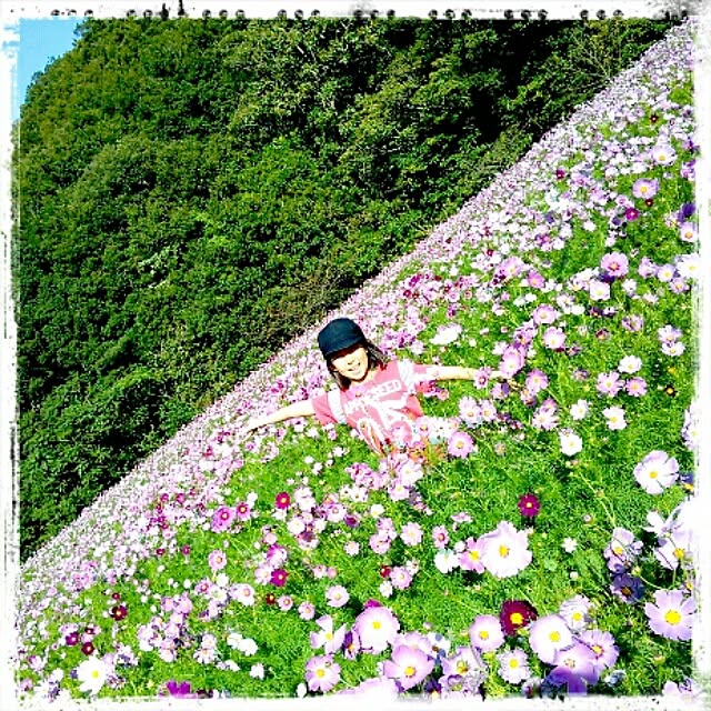 rrchikaさんの実例写真