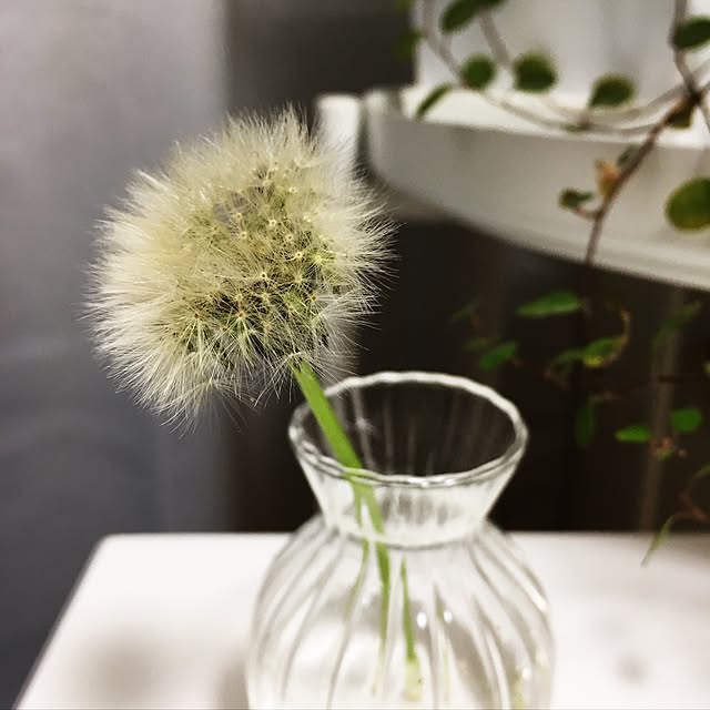 saori---nさんの実例写真
