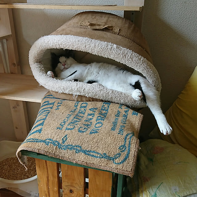 SHIHOさんの実例写真