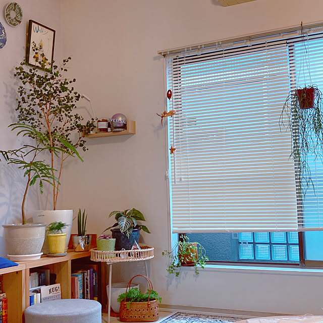 kotahiguさんの実例写真