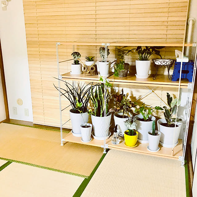 hanachanさんの実例写真