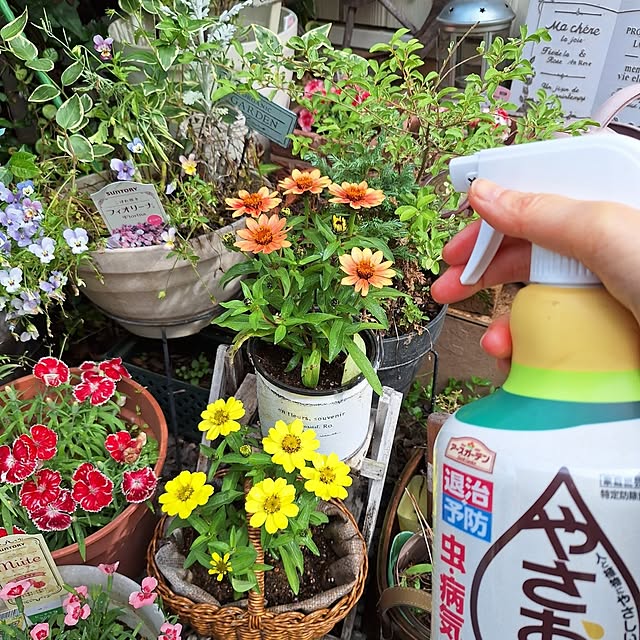 Blancheさんの部屋