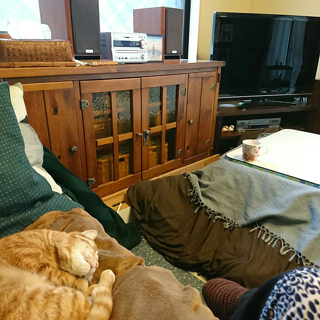okyosan101さんの実例写真