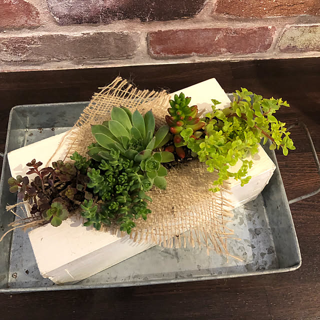 Takaさんの実例写真