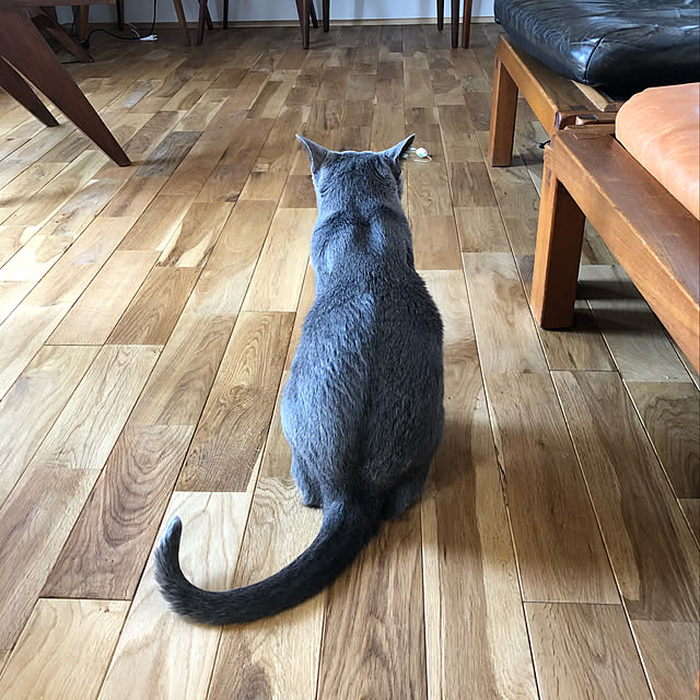 tomokoさんの実例写真