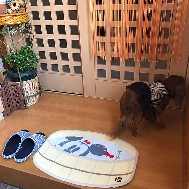 juncocoさんの実例写真