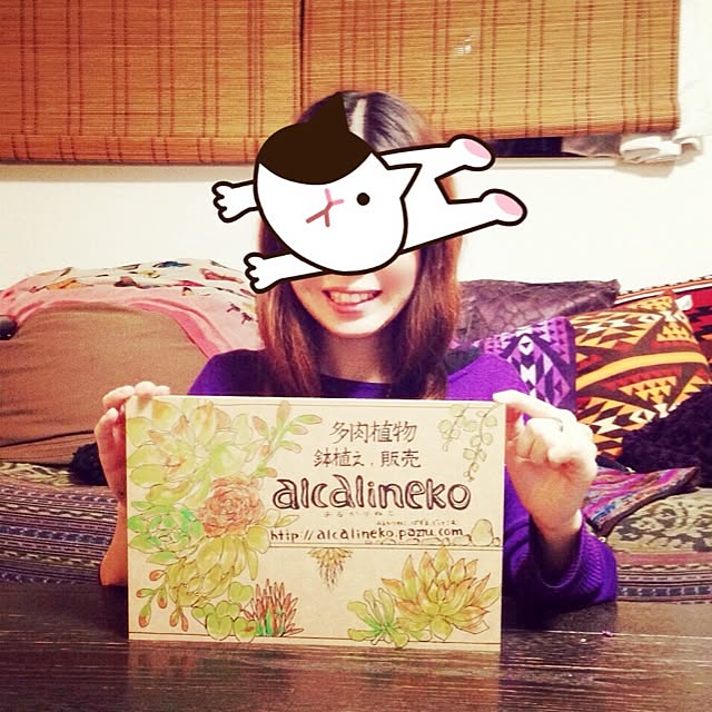 alcalinekoさんの実例写真