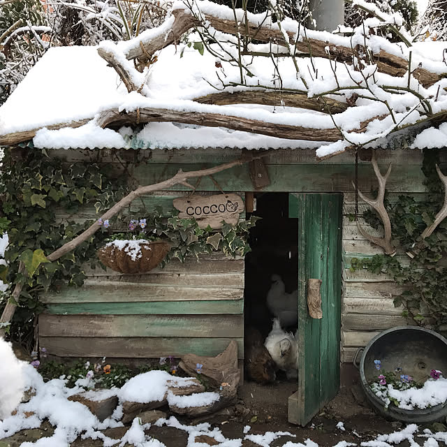 pepeさんの実例写真
