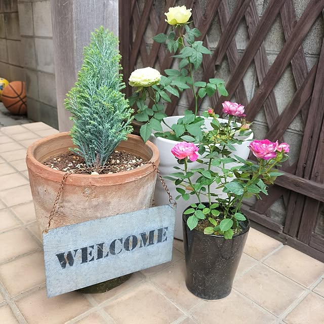 aoiroさんの実例写真