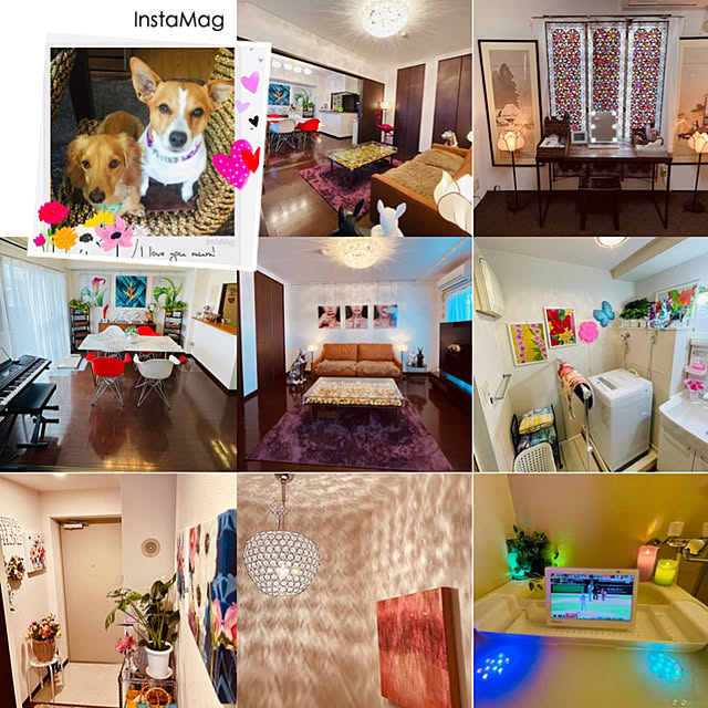 実例写真