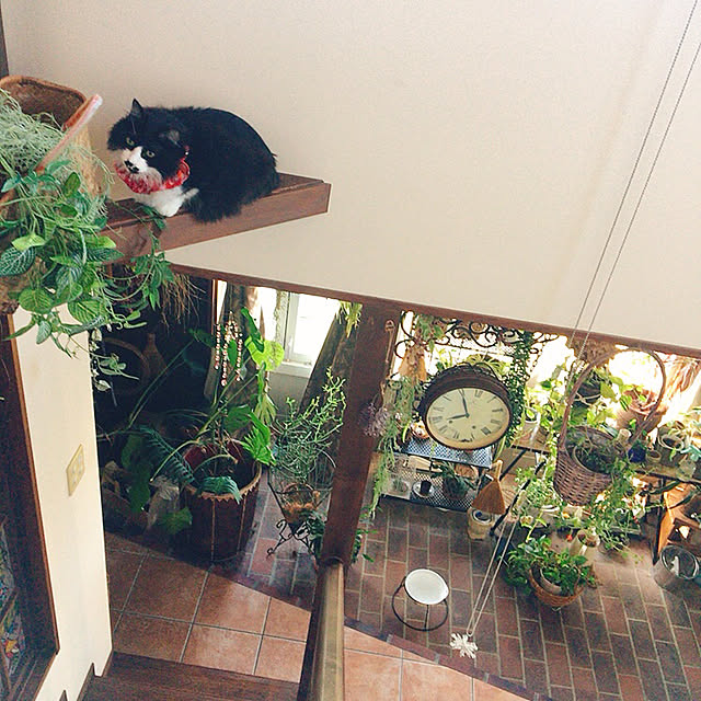 shigimiさんの実例写真