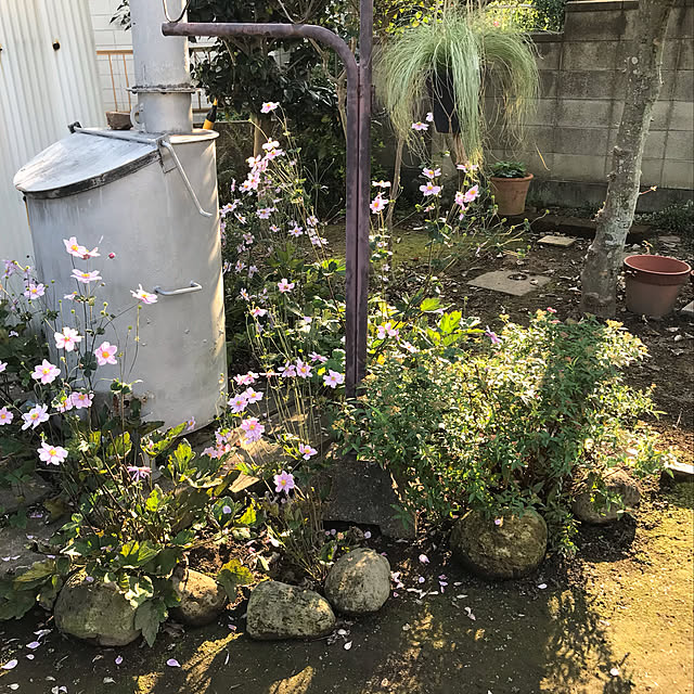 実例写真