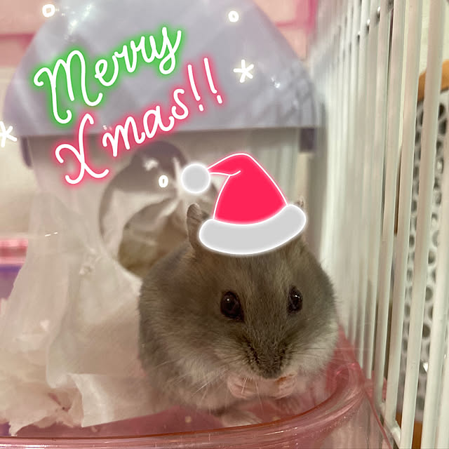 milkさんの実例写真