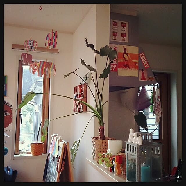 urchinさんの実例写真