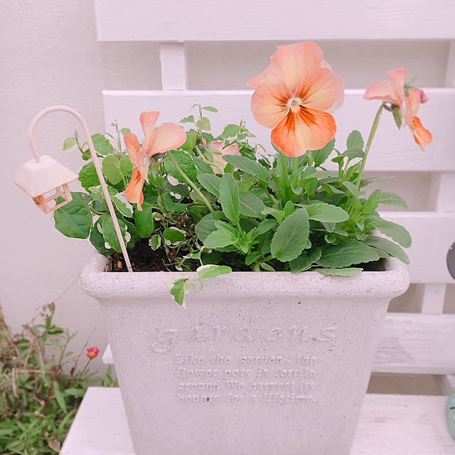 t.m.r.sさんの実例写真