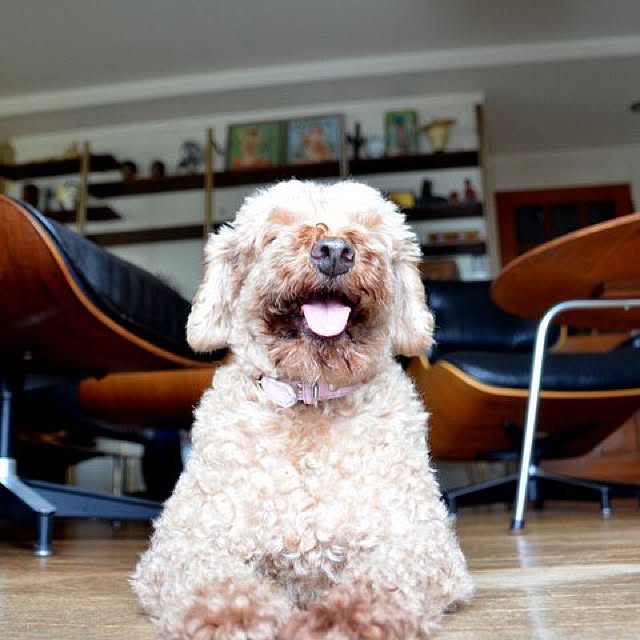 Hiroさんの実例写真