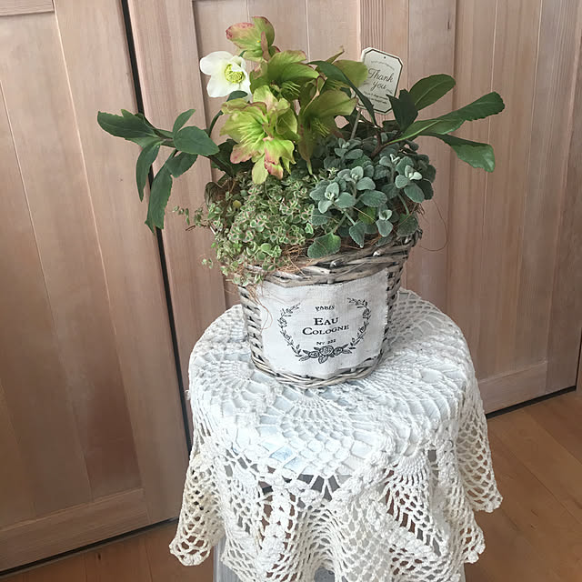 Hamaさんの実例写真