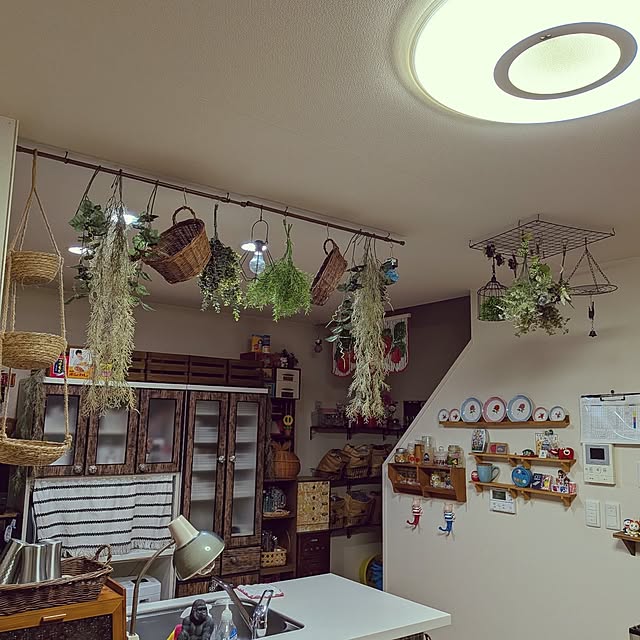 umeboshicyanさんの部屋